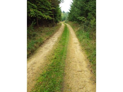 Foto 41
